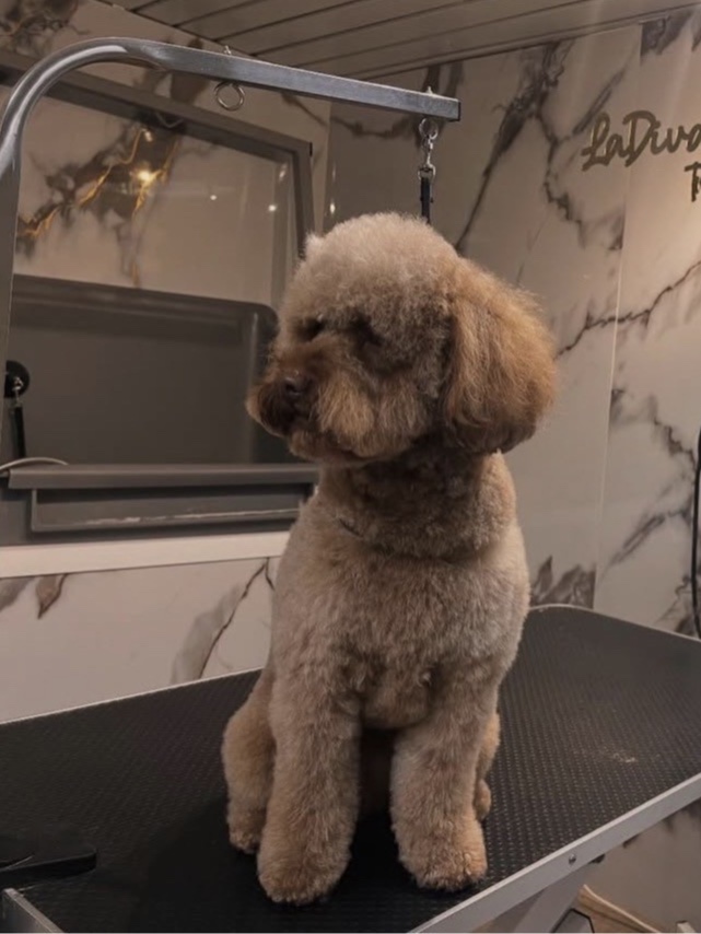 De trimsalon van La Diva